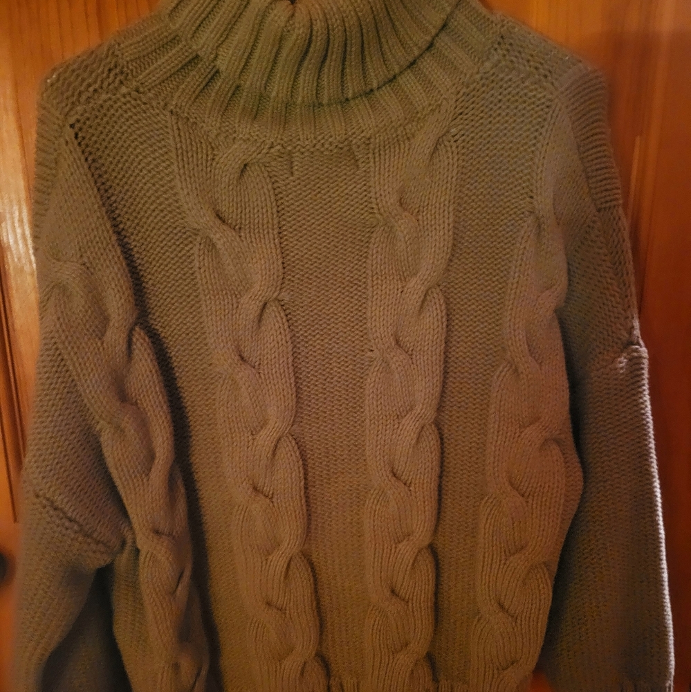 Premise Womens Turtle Neck Sweater